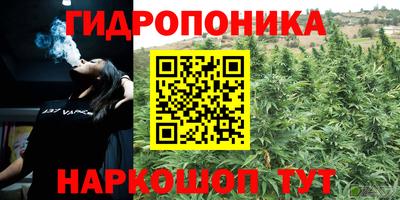 прущие грибы Кинель