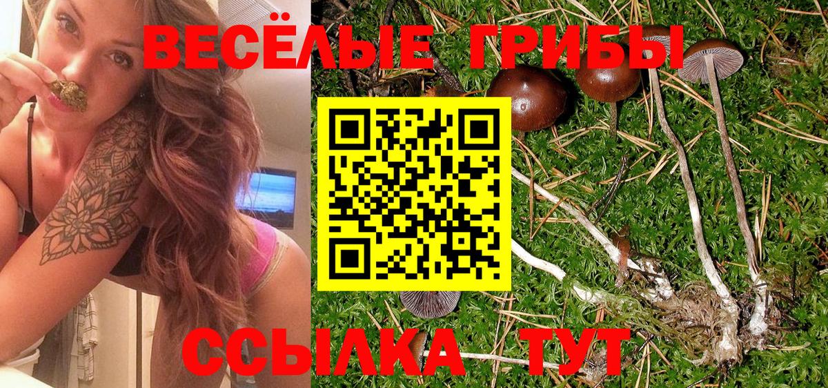 НБОМе  МДМА  Героин  Купить наркоту  Амфетамин   МЕФ   Гашиш  Лениногорск  APVP СК   Вход с VPN 